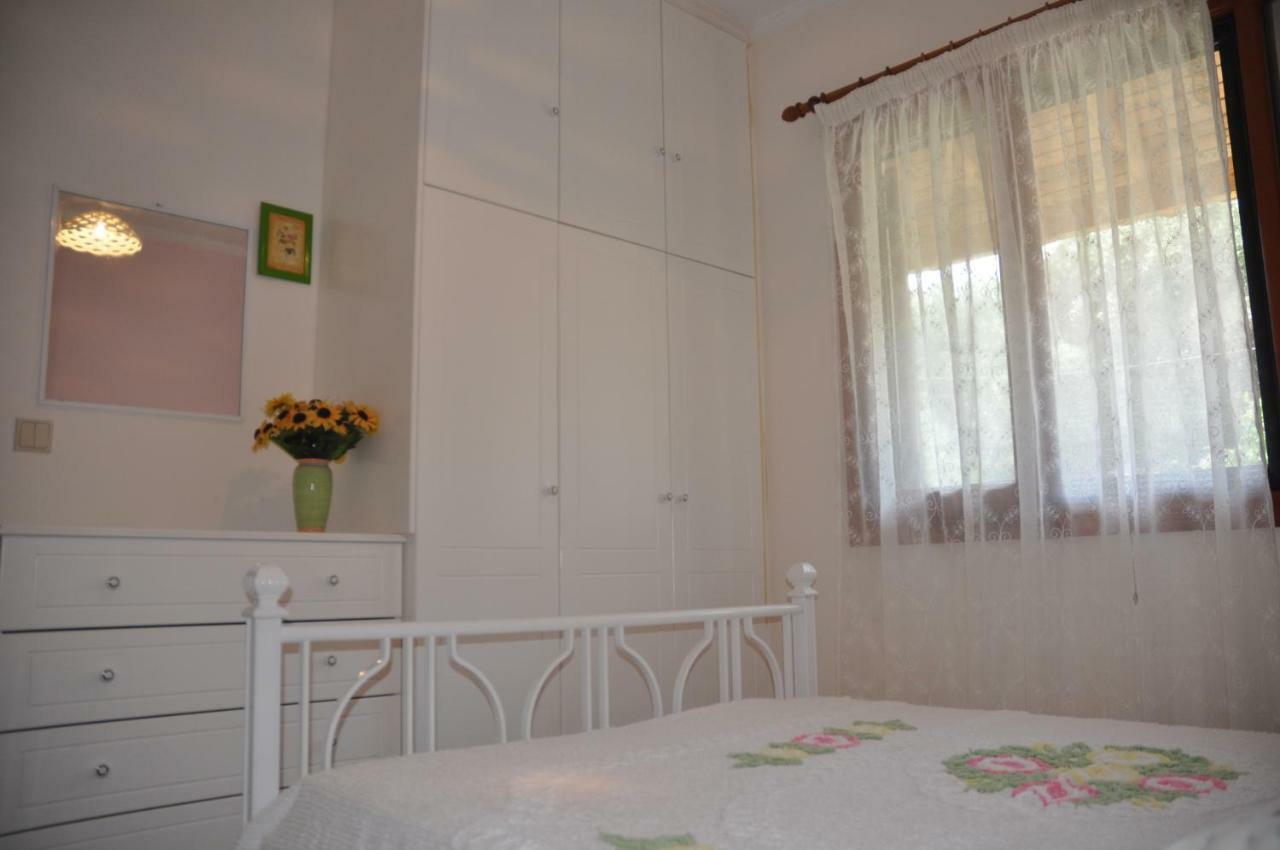 Areti'S Apartment Агиос-Георгиос-Пагон Экстерьер фото